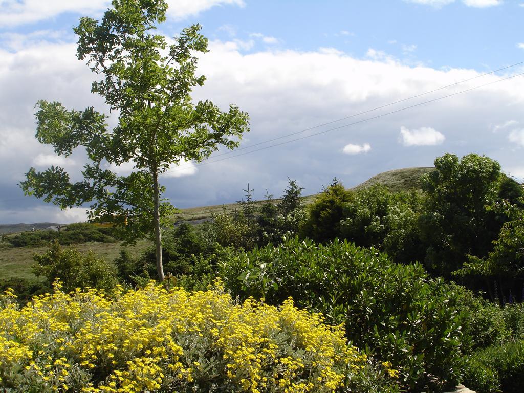Bed and breakfast Ben Breen House Clifden