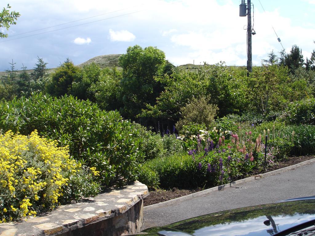 Bed and breakfast Ben Breen House 4*